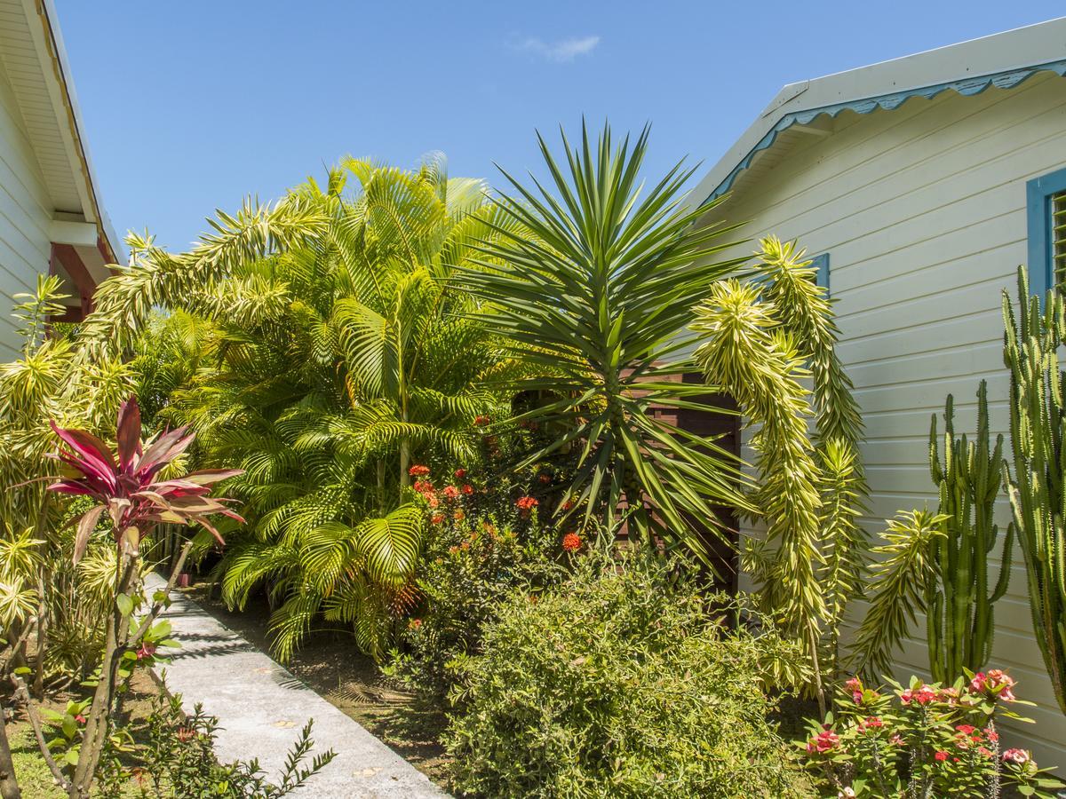 Coco Bungalows Sainte-Rose Εξωτερικό φωτογραφία