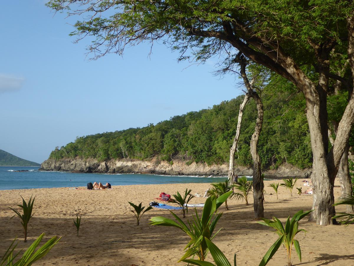 Coco Bungalows Sainte-Rose Εξωτερικό φωτογραφία